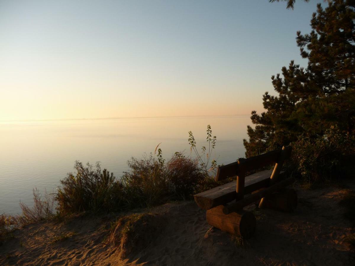 Urlaub Fuer Erwachsene - Usedom Ferienwohnungen Tannengrund Loddin Kültér fotó